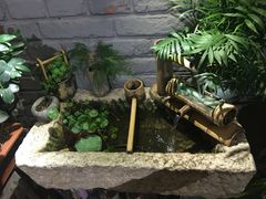 -桥岚·巷子鲜河豚鱼(专门店)