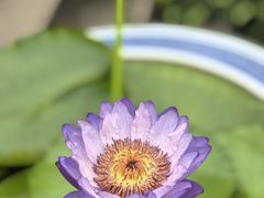 -苏州上方山国家森林公园