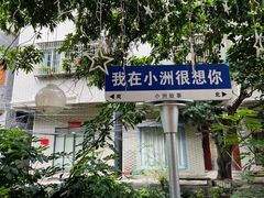 -小洲村