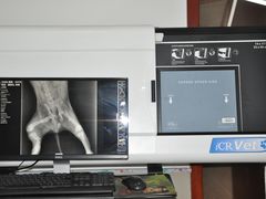 -瑞鹏瑞爱宠物医院·全科·猫科·血液透析中心(龙头寺店)