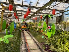 -南宫五洲植物乐园