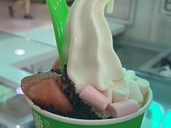-Salud撒露欧洲冻酸奶(五道口购物中心店)