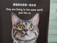 -瑞派雷欧宠物医院·中兽医·眼科·急重症转诊中心(黄台店)
