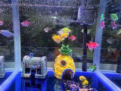 -金三角花鸟鱼综合市场-地面停车场