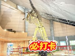 -诸城市恐龙博物馆