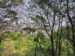 -岳麓山风景名胜区