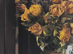 -不舍昼夜咖啡馆