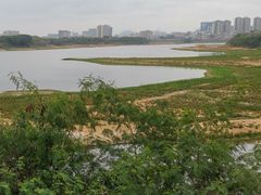 -立新湖公园