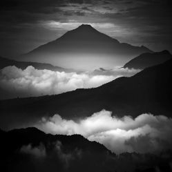 -东田造型