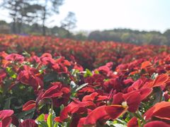 -狼山风景名胜区
