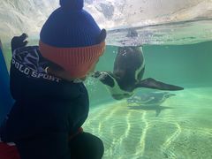 -北戴河圣蓝海洋公园