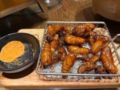 -鸽子窝(青塔店)