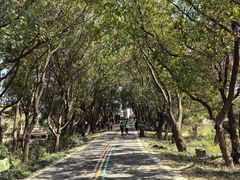 -同里国家湿地公园