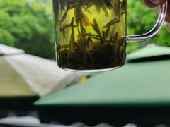 -阿巧茶庄