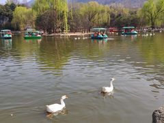 -西安秦岭野生动物园