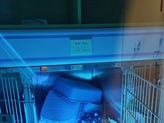 -瑞派康怡24h宠物医院·犬猫医疗中心·微创绝育(瑞景分院)