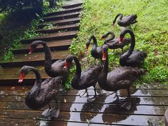 -长兴太湖图影湿地文化园