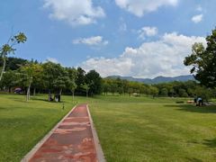 -牛岗山公园