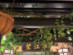 -龙抄手食府(浣花北路店)