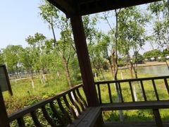 -上膳源有机农场