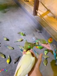 -酷嗒动物文化乐园(cutezoo西溪乐天城店)