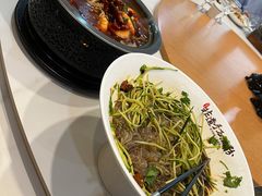 -北戴河集发农业梦想王国