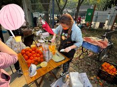 -上海佘山国家森林公园天马山园