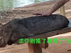 -可伦宾野生动物保护区