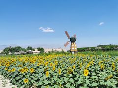 -镇北堡西部影城