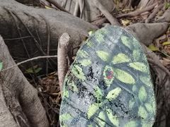 -人民公园(罗湖区)