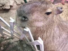 -正佳雨林生态植物园
