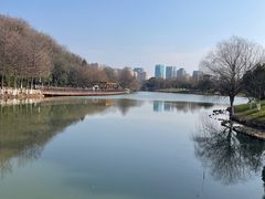 -绍兴镜湖国家城市湿地公园