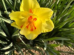 -国家植物园南园