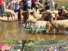 -深圳野生动物园