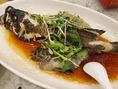 -新塘畔酒楼(里水大道北店)