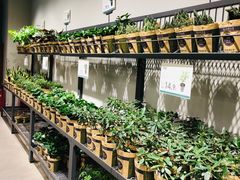 -鹿岛会员店 (龙湖三千集天街店)