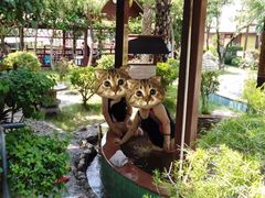 -金穗园温泉酒店