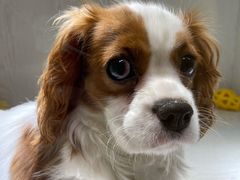 -乐宠宠物店(世纪金源店)