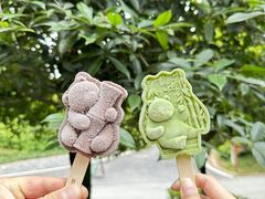 -成都大熊猫繁育研究基地