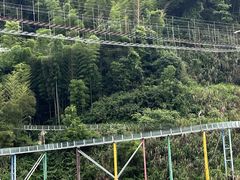 -长沙黑麋峰国家森林公园
