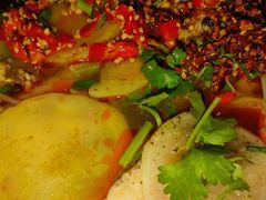 -芙蓉树下冒菜·麻辣烫(农院店)