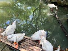 -兰亭风景区
