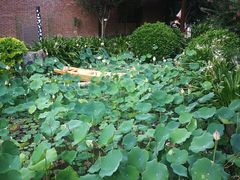-汇雅温泉