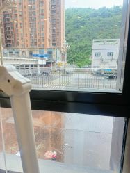 -碧莲盛·不剃发植发