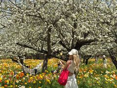 -名花谷生态庄园