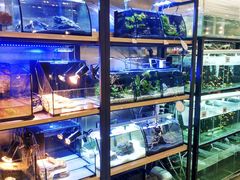 -宠物世家(仲盛世界商城店)