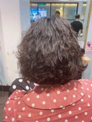 -东方麒麟·潘多拉SALON