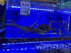 -河马鲜生海鲜超市(风荷园店)