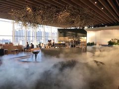 -Seesaw Coffee(朝阳大悦城店)