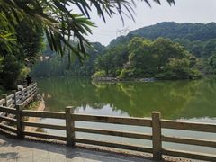 -广州市帽峰山景区